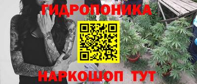 гашик Ликино-Дулёво