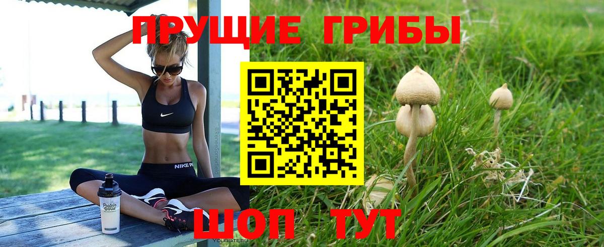 Губаха  Псилоцибиновые грибы мухоморы  Вход с VPN  Псилоцибиновые грибы GOLDEN TEACHER 
