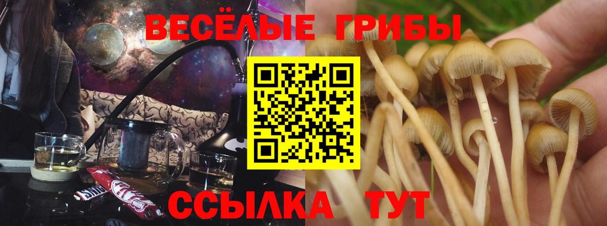 Псилоцибиновые грибы ЛСД Губаха